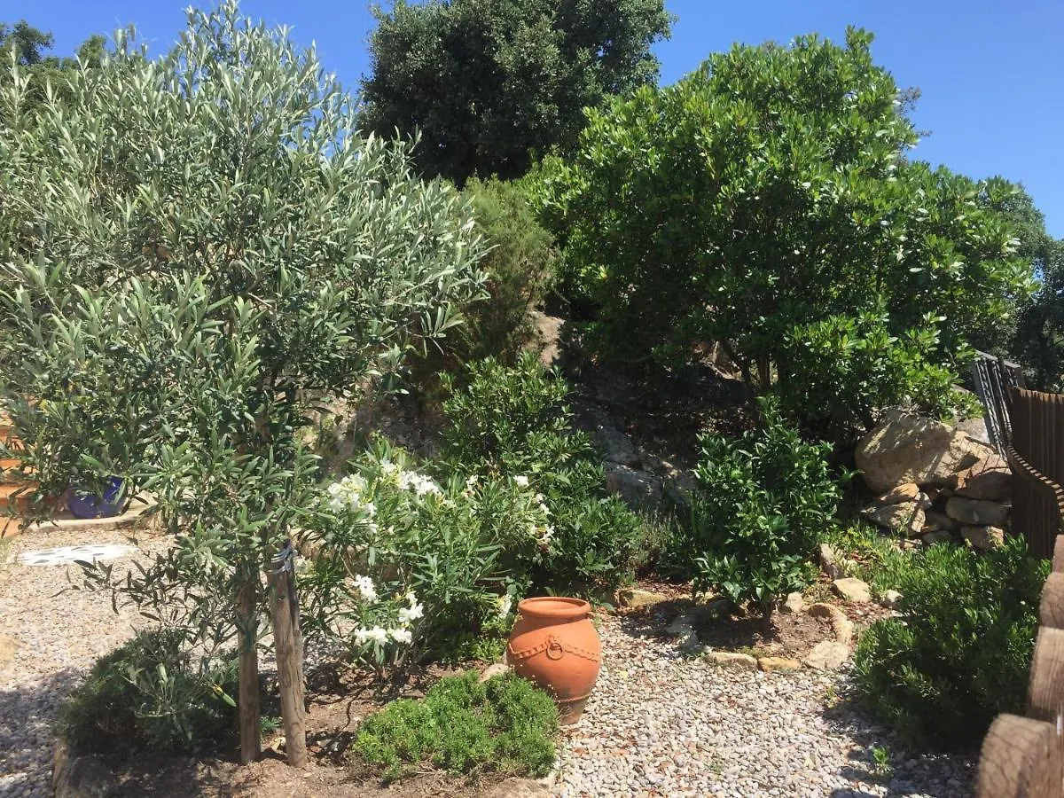 Villa Gardenia Mit Pool Und Traumhaftem Meerblick Santa Cristina d'Aro